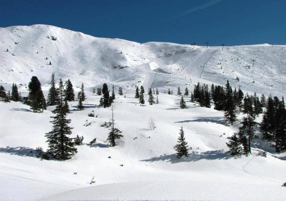 Landgut Hotel Plannerhof Planneralm Dış mekan fotoğraf