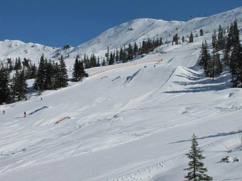 Landgut Hotel Plannerhof Planneralm Dış mekan fotoğraf