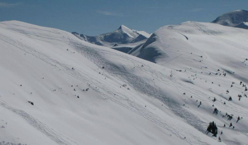 Landgut Hotel Plannerhof Planneralm Dış mekan fotoğraf