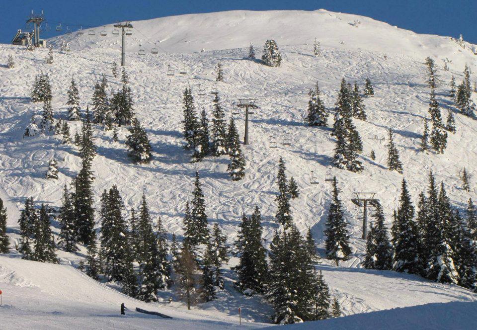 Landgut Hotel Plannerhof Planneralm Dış mekan fotoğraf